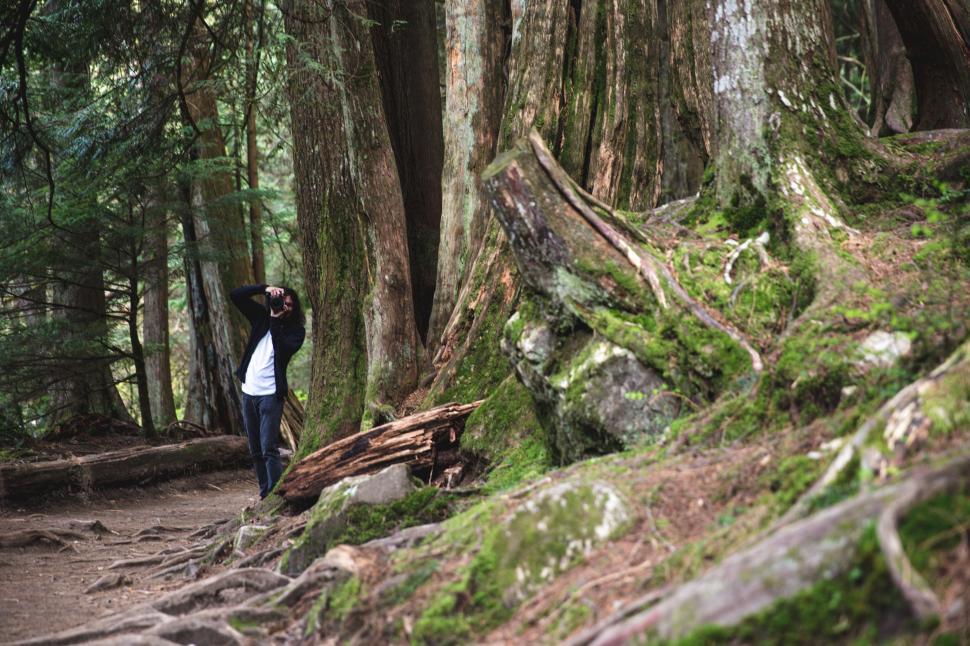 Free Image of A nature photographer in the forest 