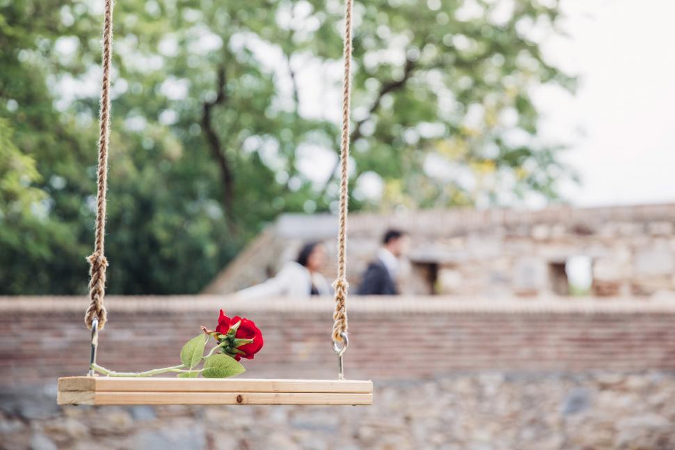 Free Image of A romantic red rose on the wooden swing 