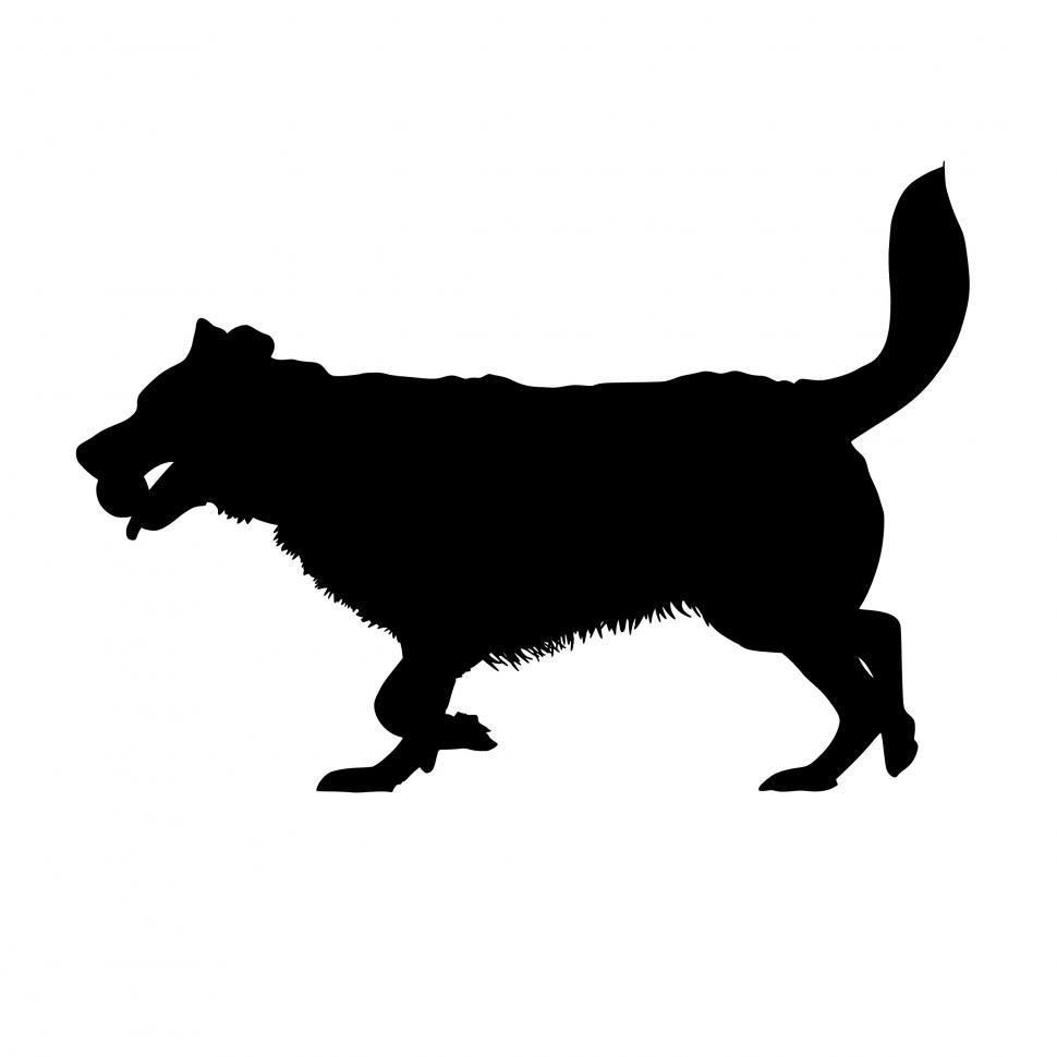 Free Image of dog catching ball Silhouette  