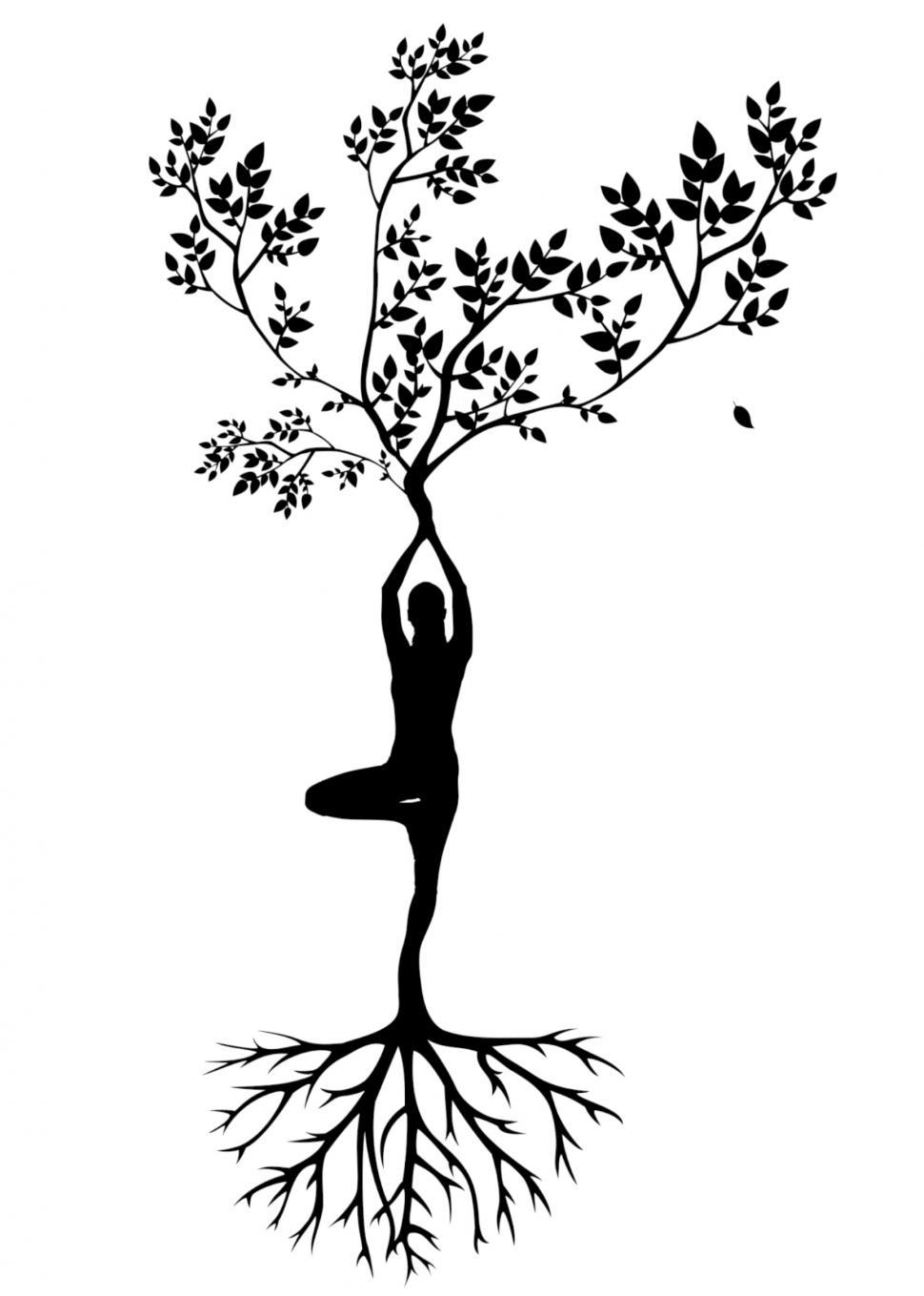 Download Free Stock Photo of yoga pose Silhouette  