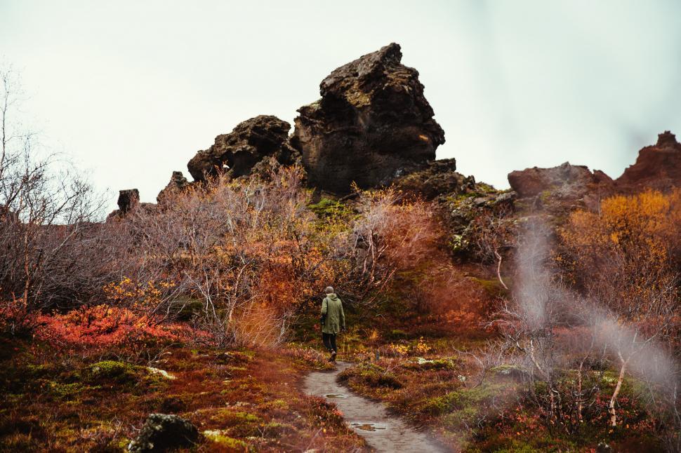 Free Image of A hiker in autumn forest 