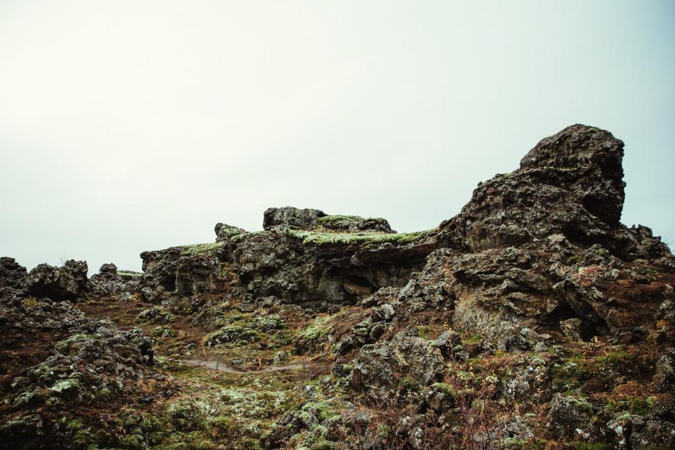 Free Image of Layered rock formations and plants 