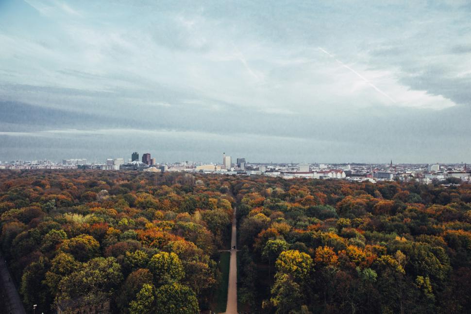 Free Image of City in the backdrop of fall forest 