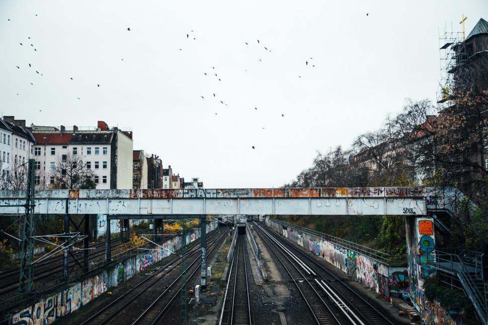 Free Image of Graffiti walls near a train subway bridge 