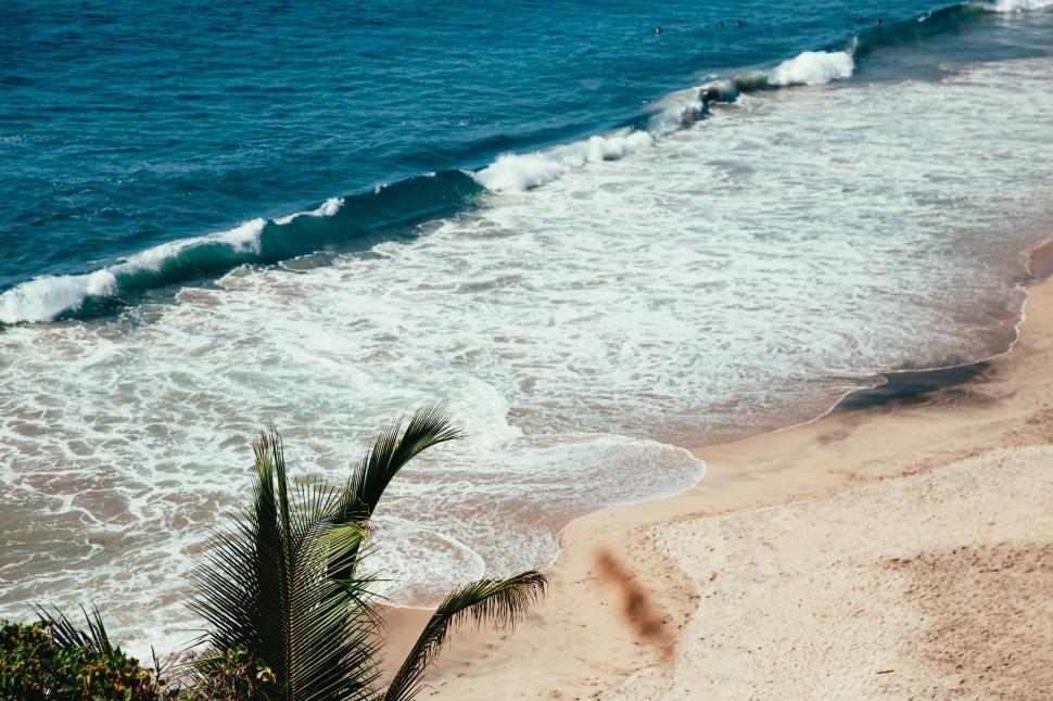 Free Image of Ocean waves crashing on sandy beach 