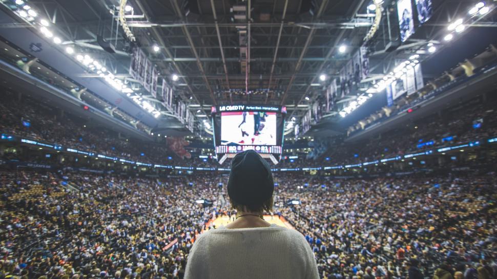 Free Image of Back view of a fan at a basketball game 