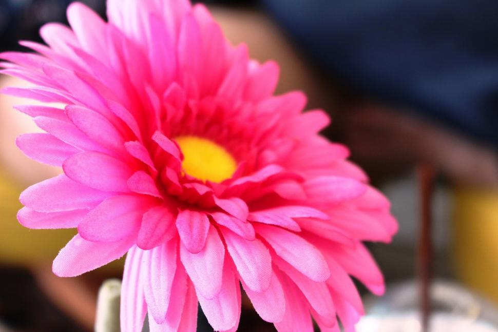 Free Image of Bright pink artificial flower  