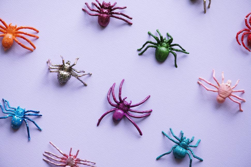 Free Image of Plastic toy spiders 