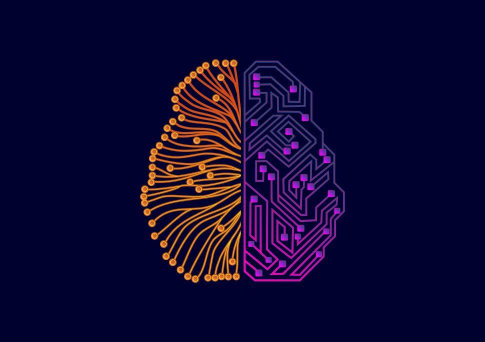 Download Free Stock Photo of Two-sided Brain - Organic and Artificial Intelligence  