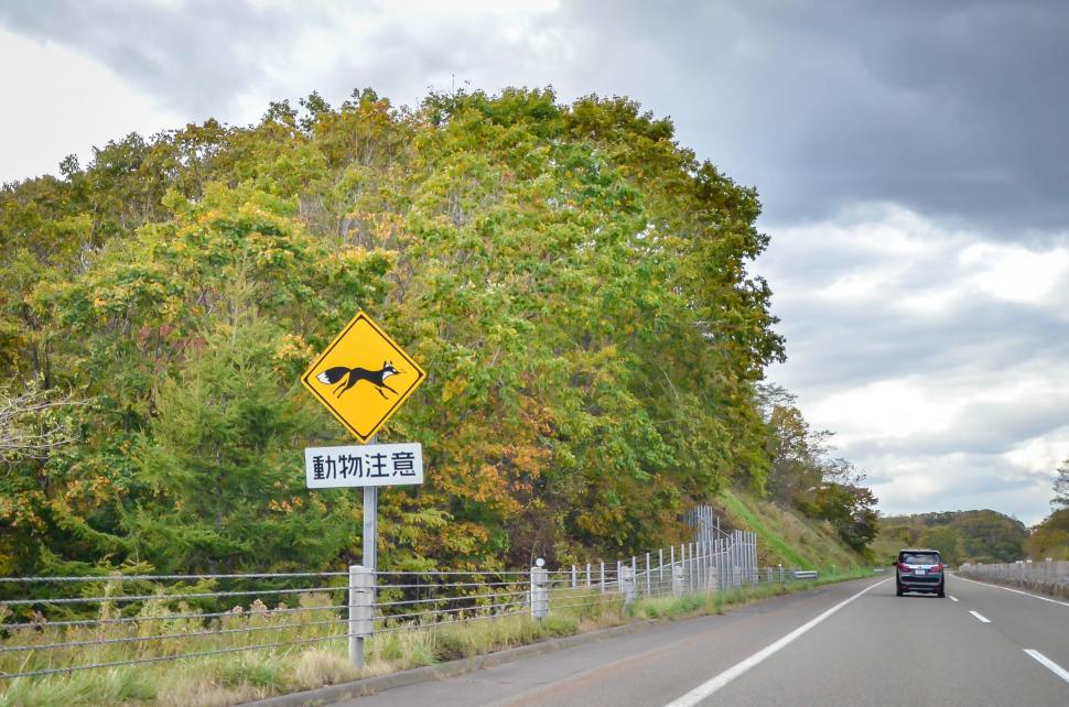 Free Image of Driving on Japanese Highway 