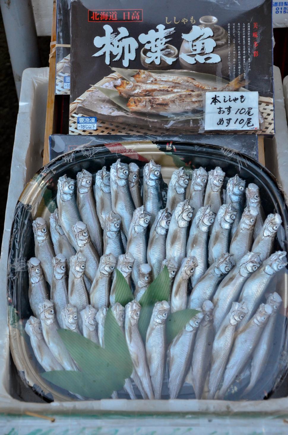 Free Image of Fresh Food - Small Fish at Market 
