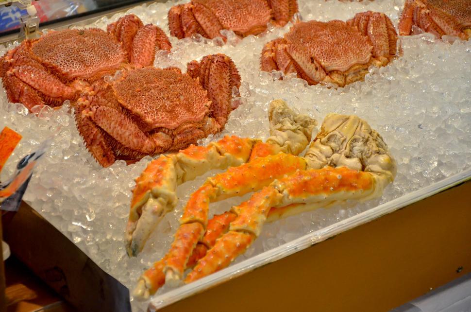 Download Free Stock Photo of Fresh Crab at Market  