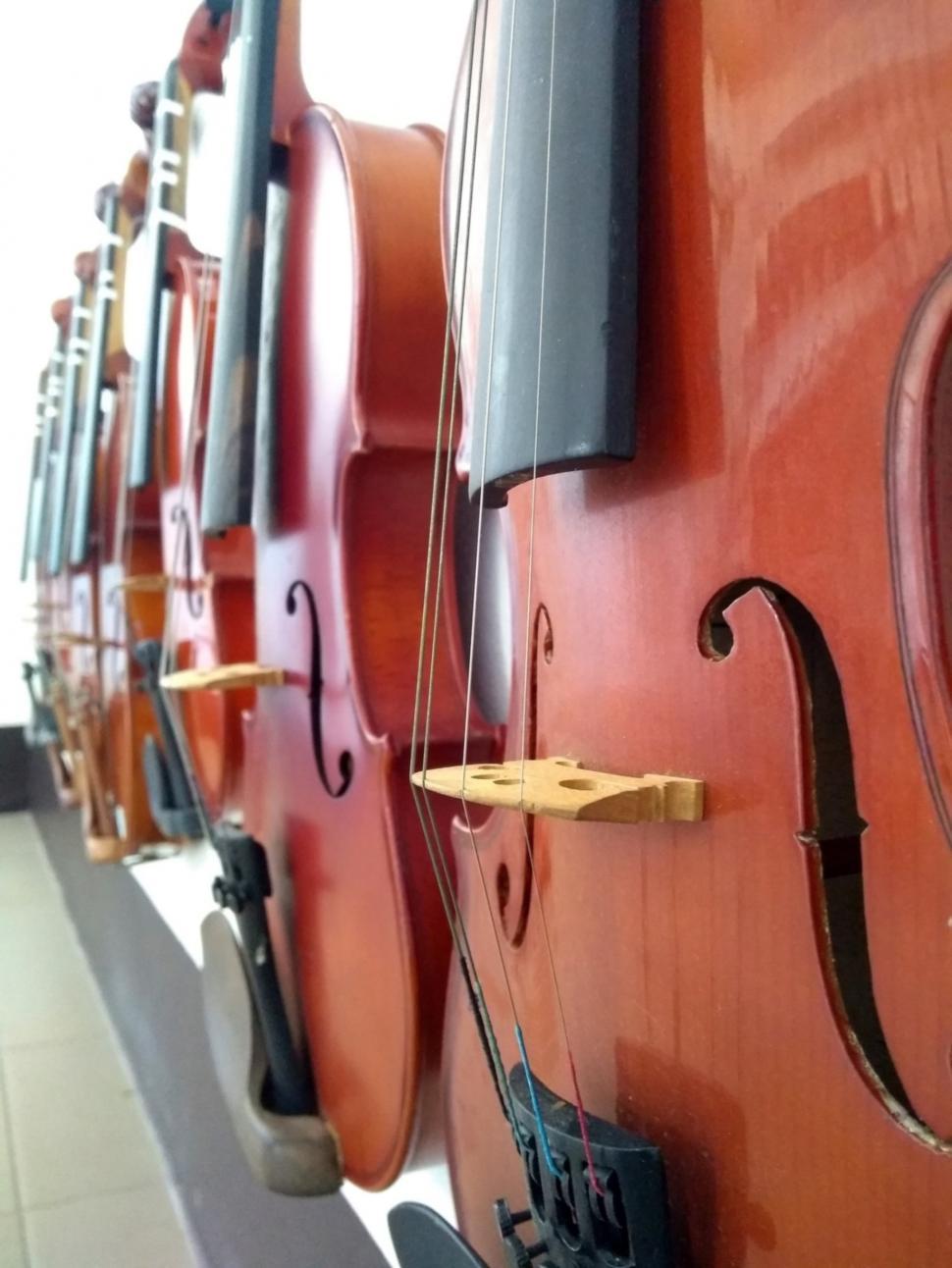 Free Image of Close up of a row of violins  