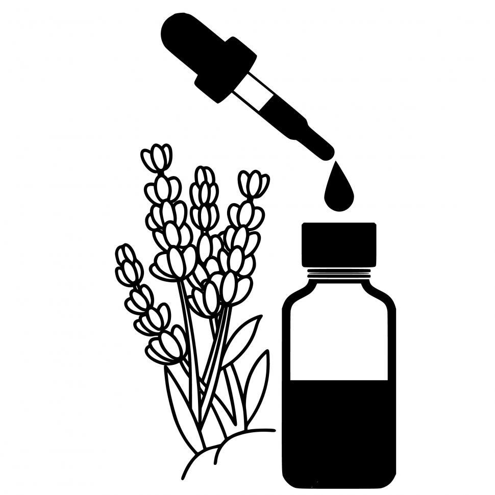 Free Image of lavender essential oil  