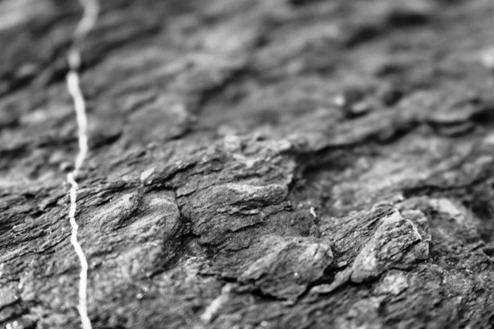 Free Image of Grey rock background texture with white veins  
