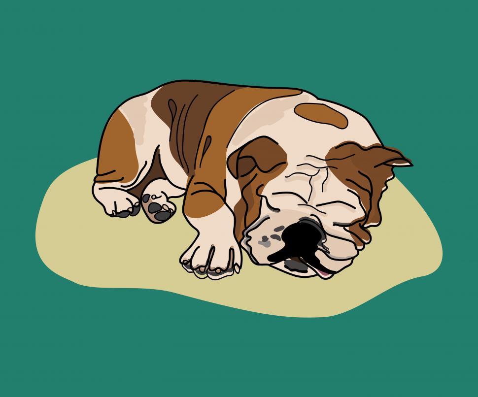 Free Image of Vector drawing of a bulldog 