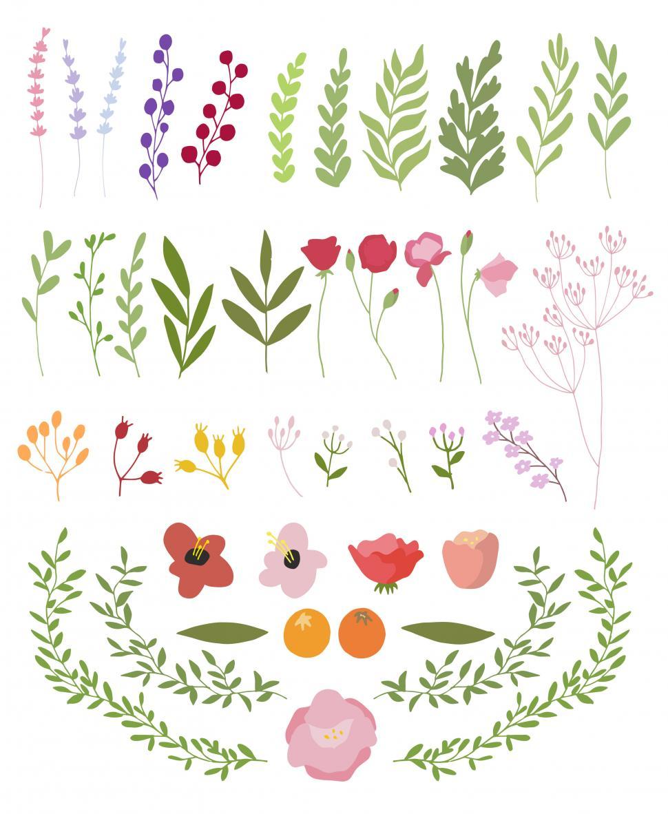 Free Image of A collection of flowers and leaves vector graphics 