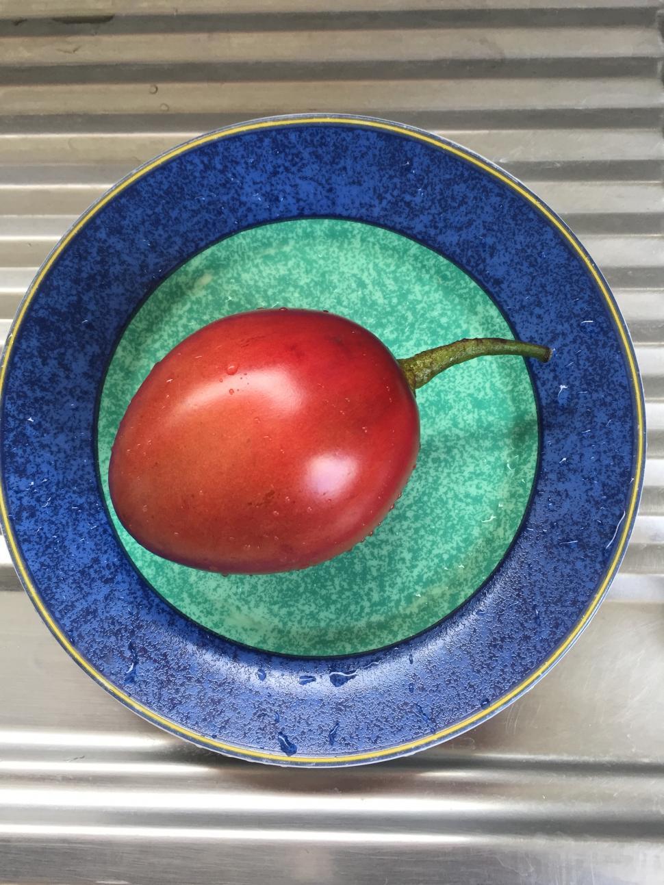 Free Image of Tree Tomato on a Plate  