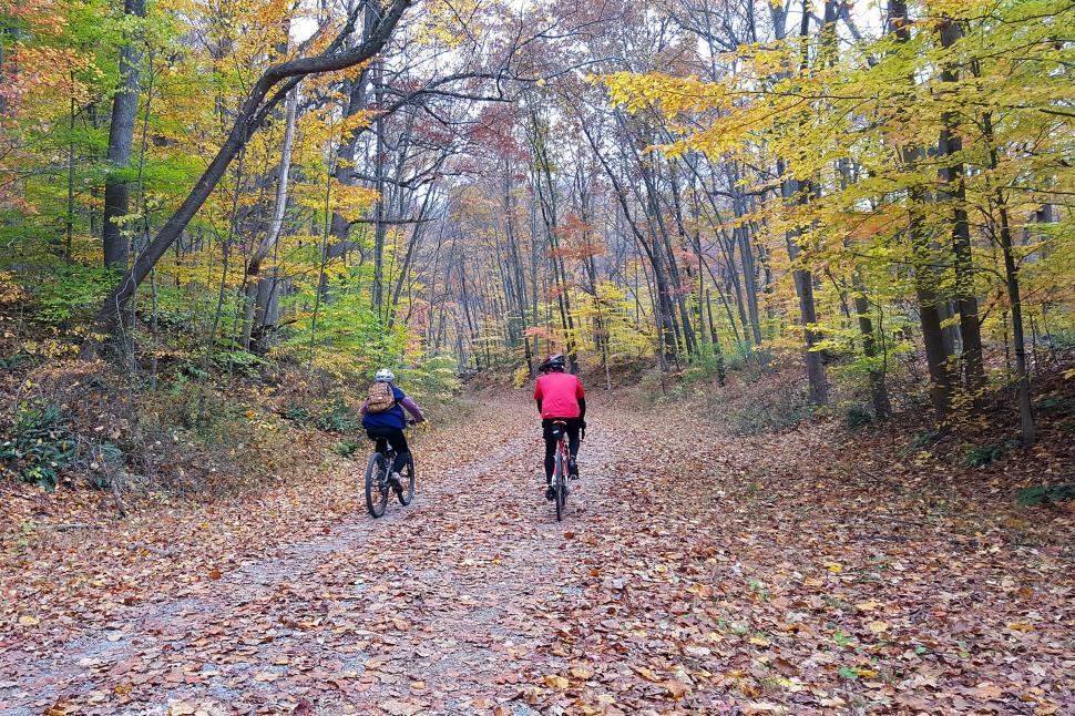 Free Image of Bikers In Autumn 