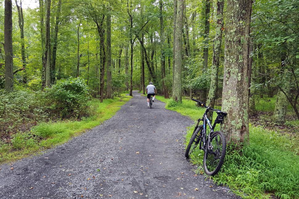 Free Image of Bike Riding In A Forest 
