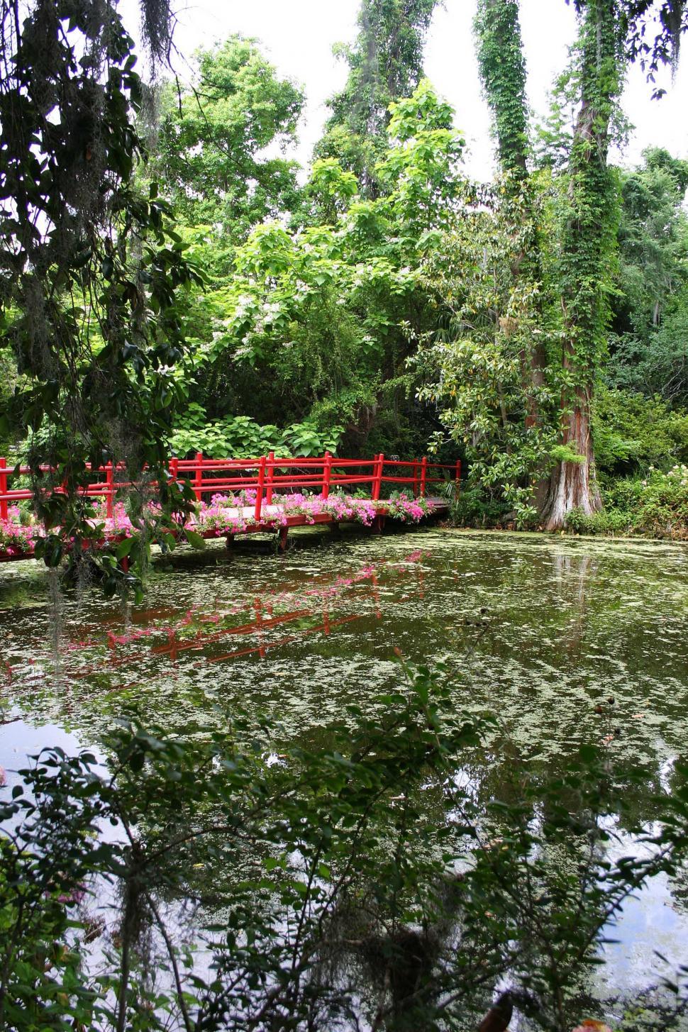 Free Image of swamp water pond lake bog cypress magnolia plantation south carolina trees lush dense bridge walkway footbridge 