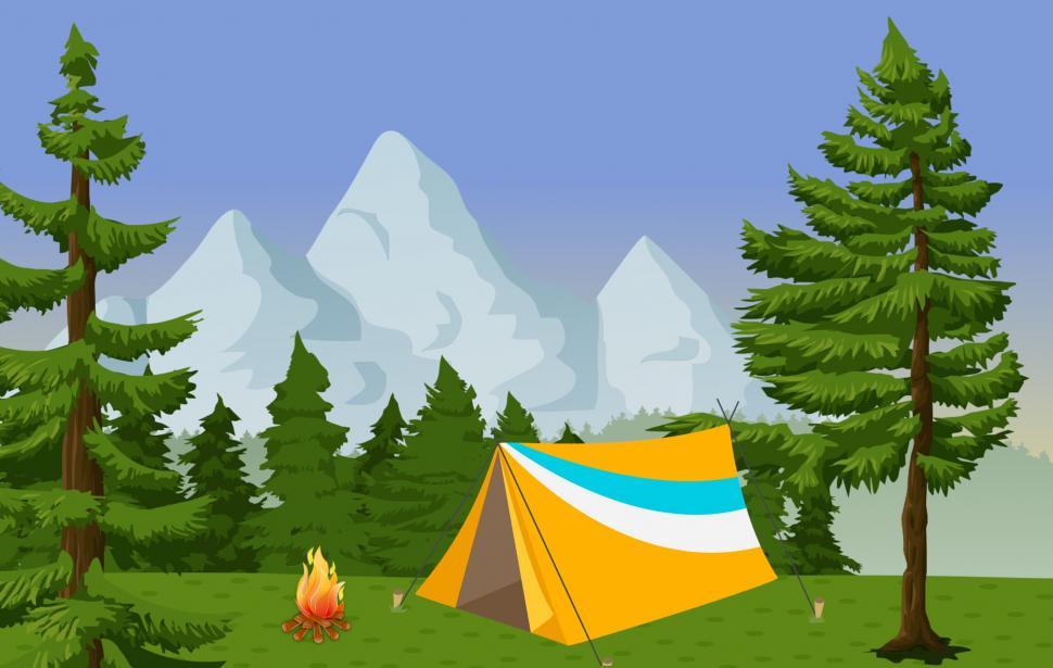Free Image of forest camp  