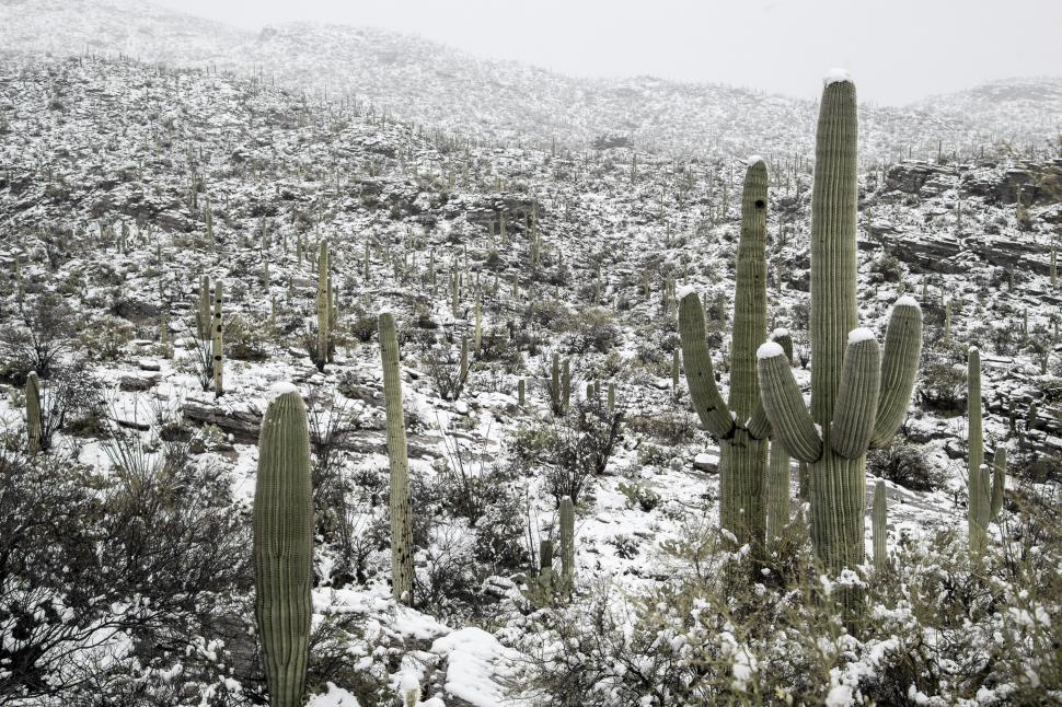 Free Image of Hill of Snow Near Tucson 