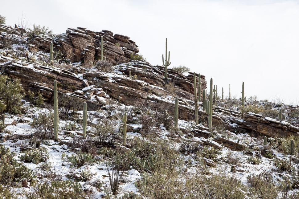 Free Image of Layered Rocks Dotted with Sahuaro Cactus 