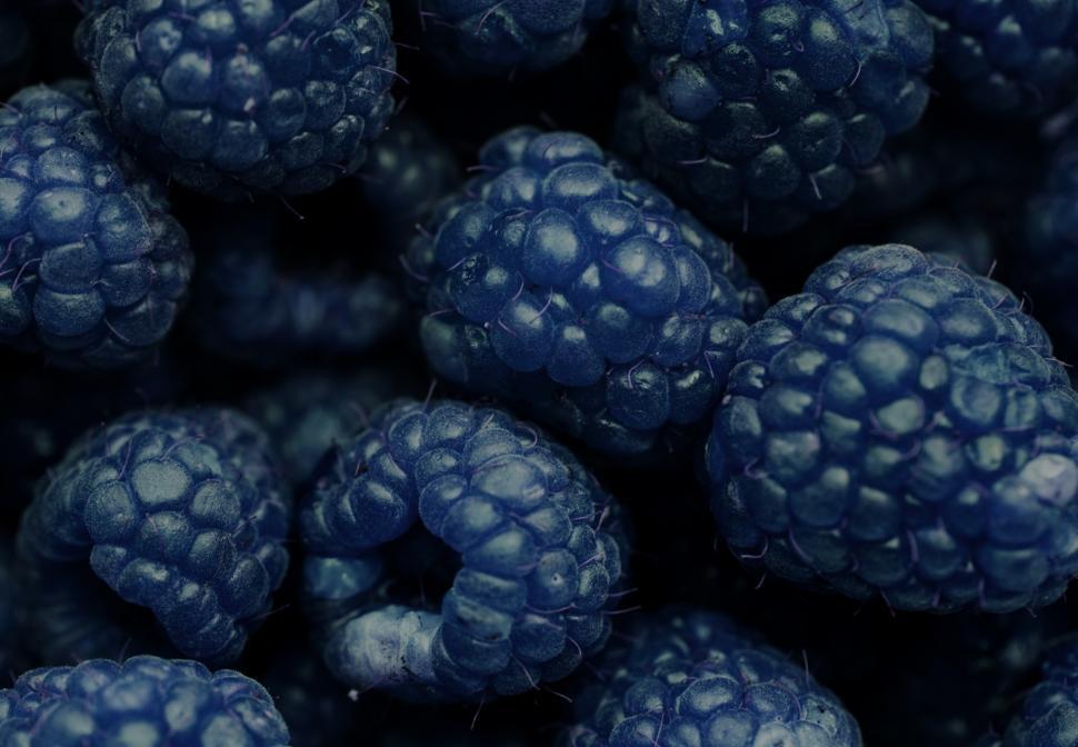 Free Image of Close up of fresh blackberries 