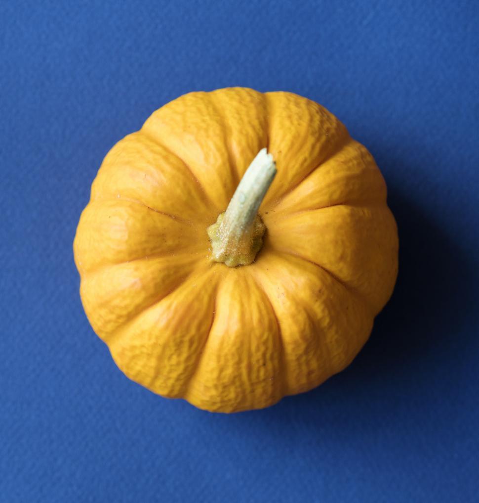 Free Image of Flat lay of a yellow pumpkin 