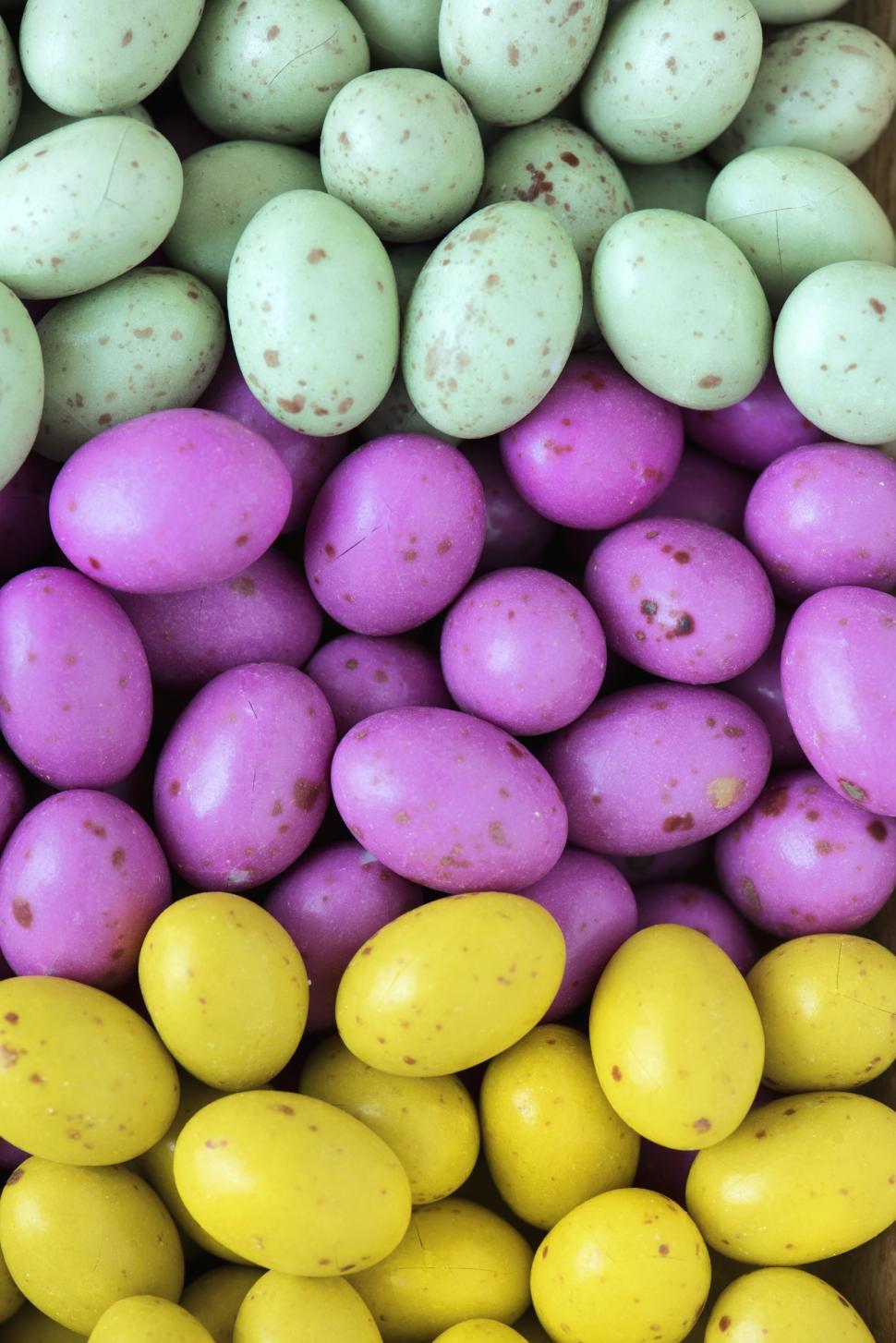 Free Image of Flat lay of colored boiled eggs 