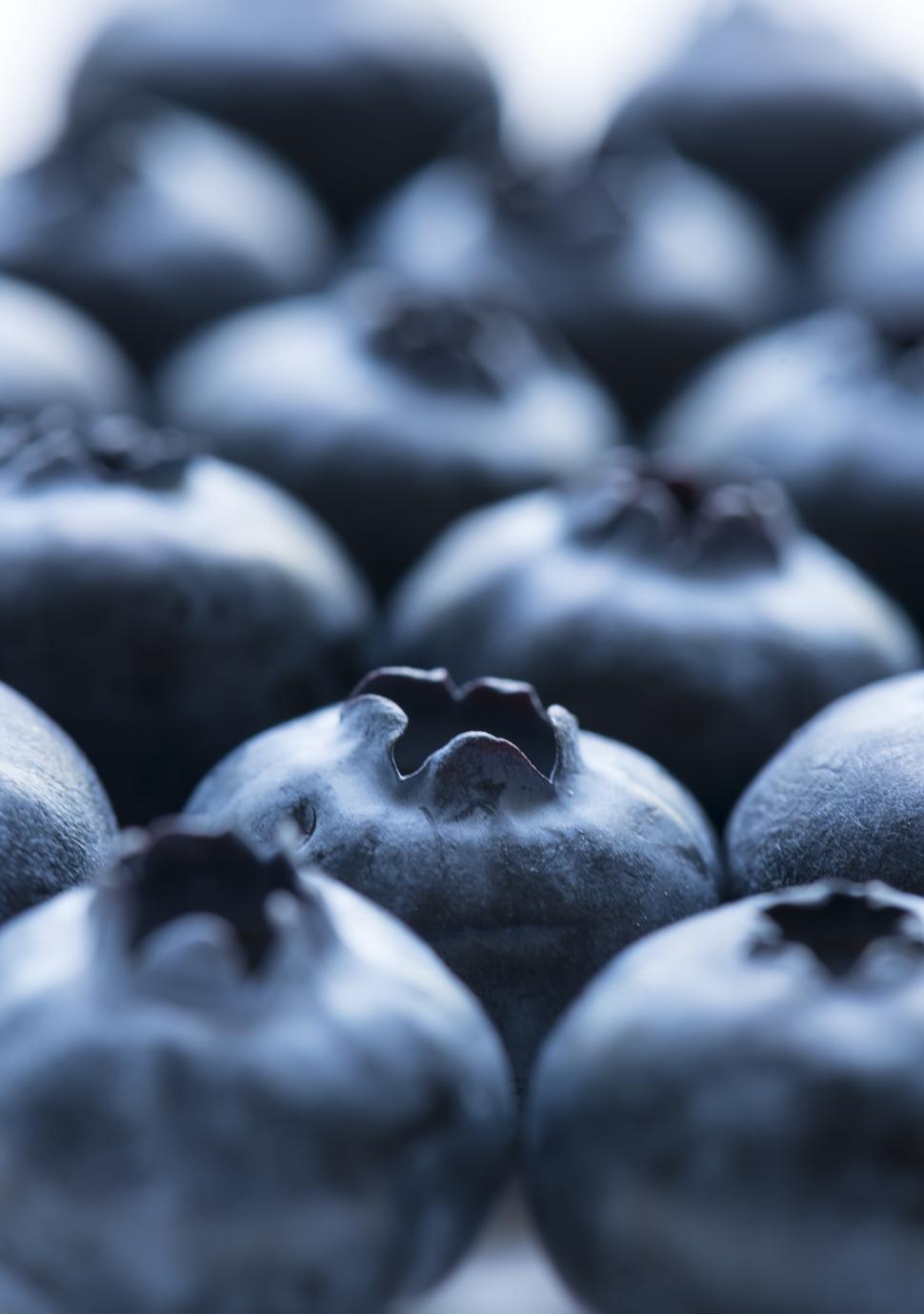 Free Image of Close up of blueberries 