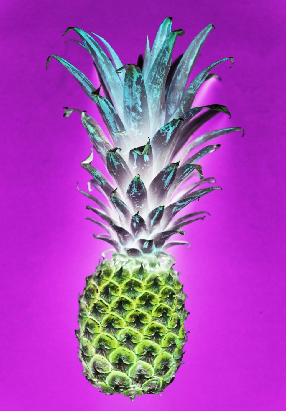 Download Free Stock Photo of A color inverted image of a pineapple 