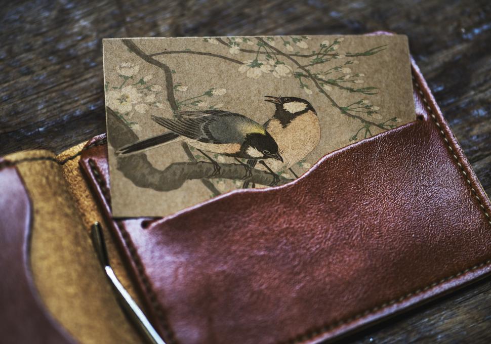 Free Image of Close up of birds in a picture half inserted in a wallet pocket 