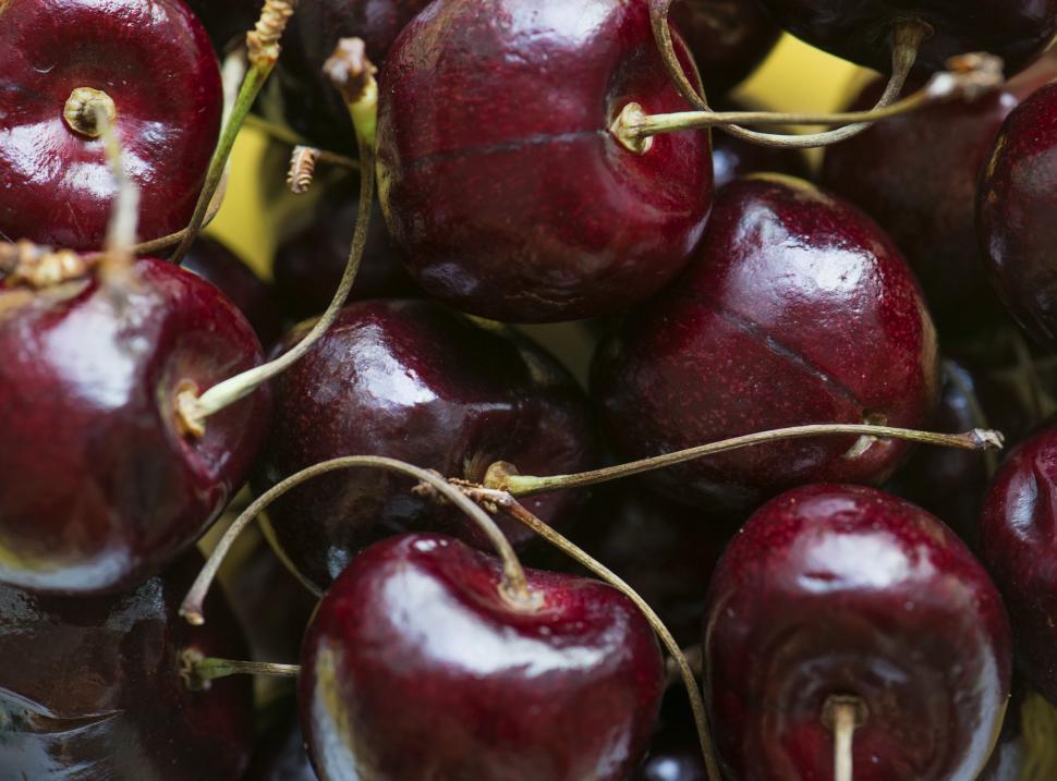 Free Image of Bright red cherries with stalks 