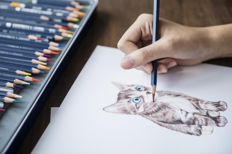 Free Image of Close up of a hand sketching a cat s picture 