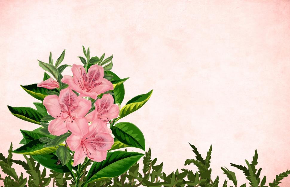 Free Image of Pink flower background  