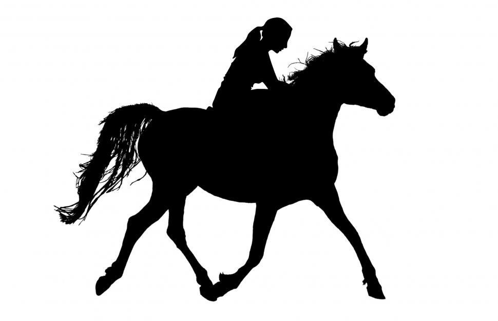Free Image of Woman riding horse  