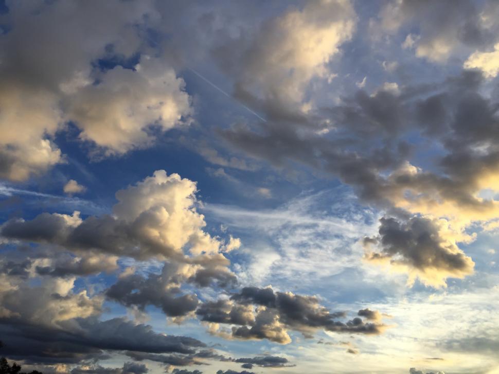 Free Image of Contrasting Sky 