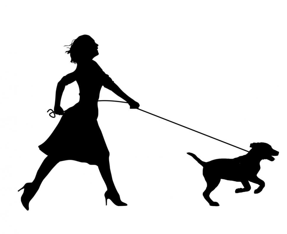 Free Image of Woman Running with dog  