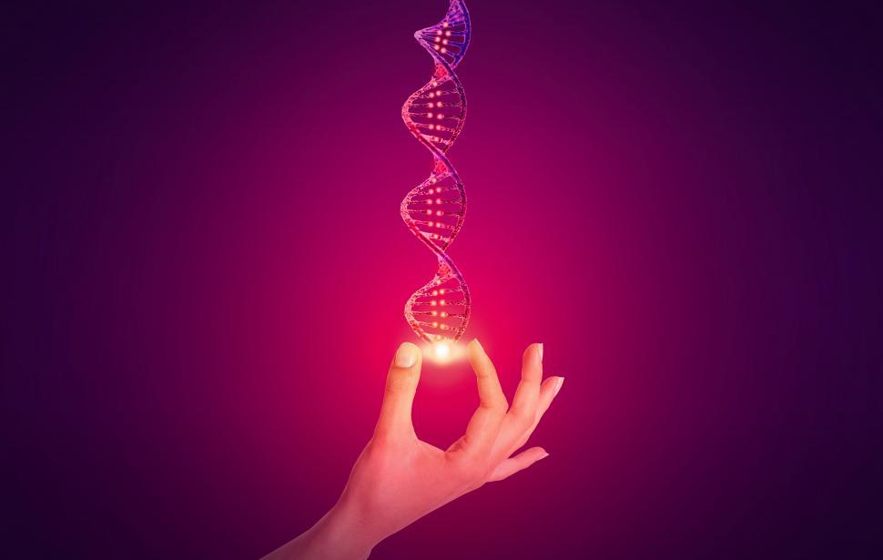 Download Free Stock Photo of DNA - Genetic Sequencing Concept - Red Queen 