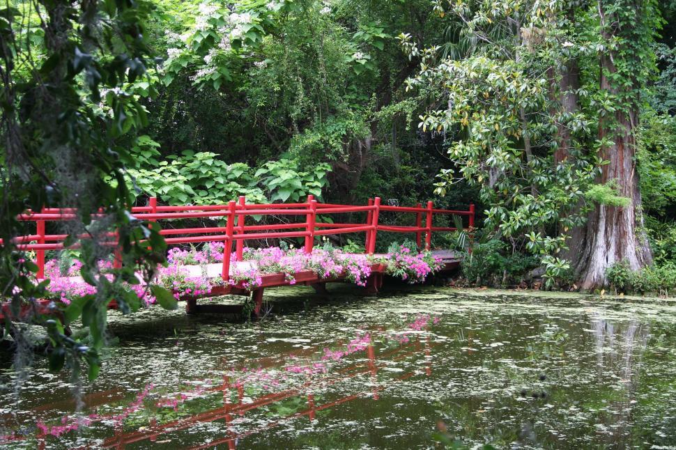 Free Image of swamp water pond lake bog cypress magnolia plantation south carolina trees lush dense bridge boardwalk footbridge 