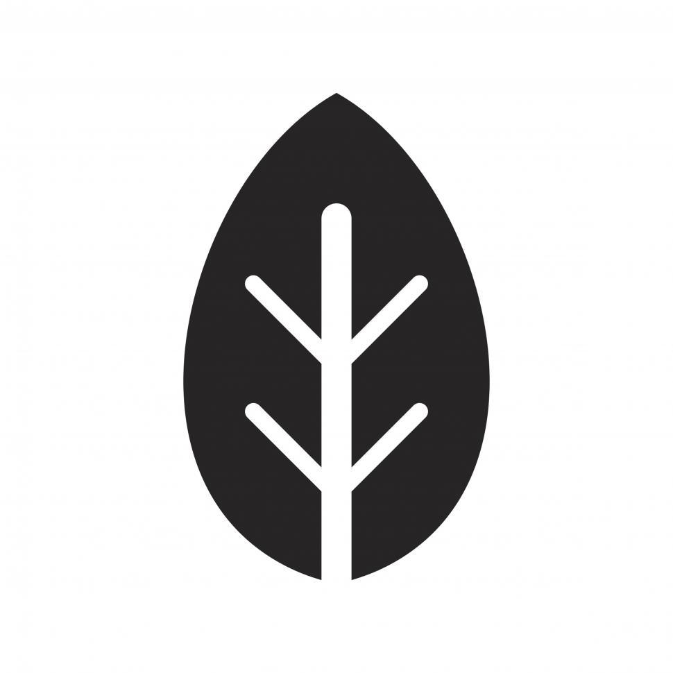 Free Image of Leaf vector icon 