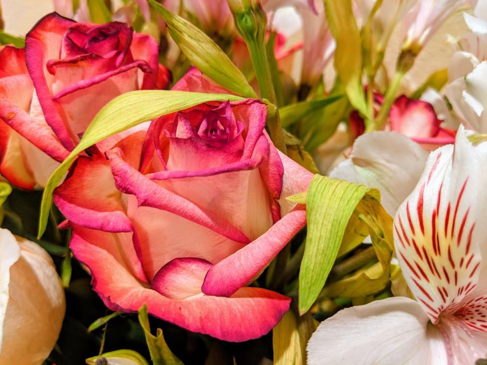 Free Image of Bouquet of Flowers - Rose, Tiger Lily, Pink Rose  