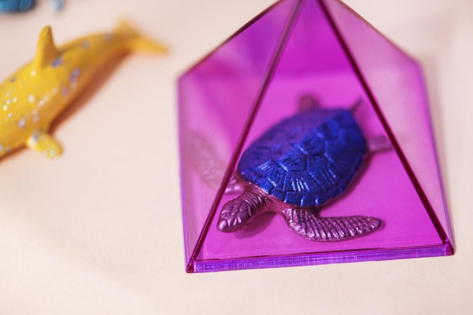 Free Image of Glittery toy turtle in a prism 