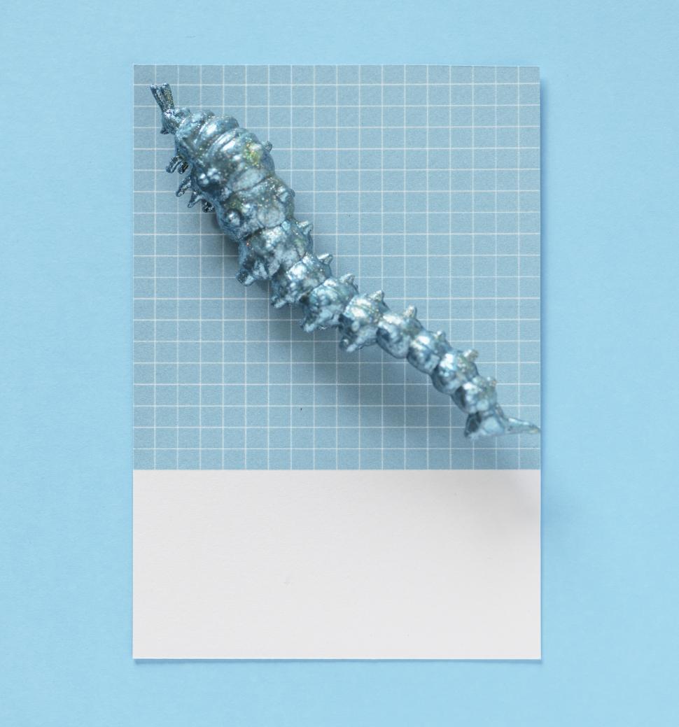 Free Image of Flay lay of a miniature toy larva on a spaced cardboard frame 
