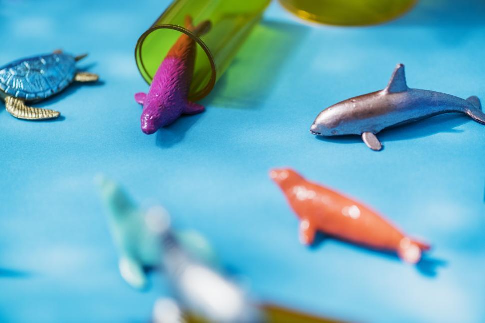 Free Image of Close up of colorful toy sea animals 