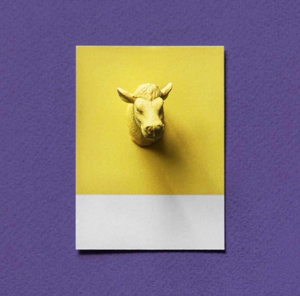 Free Image of Flay lay of a miniature toy bull s head on a spaced cardboard frame 