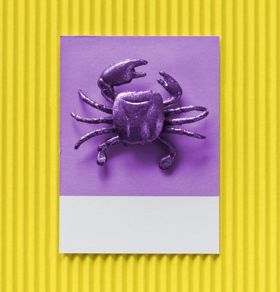 Free Image of Flay lay of a miniature toy crab on a spaced cardboard frame 