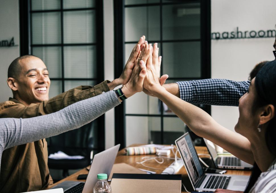 Free Image of Coworkers giving high five in the office 